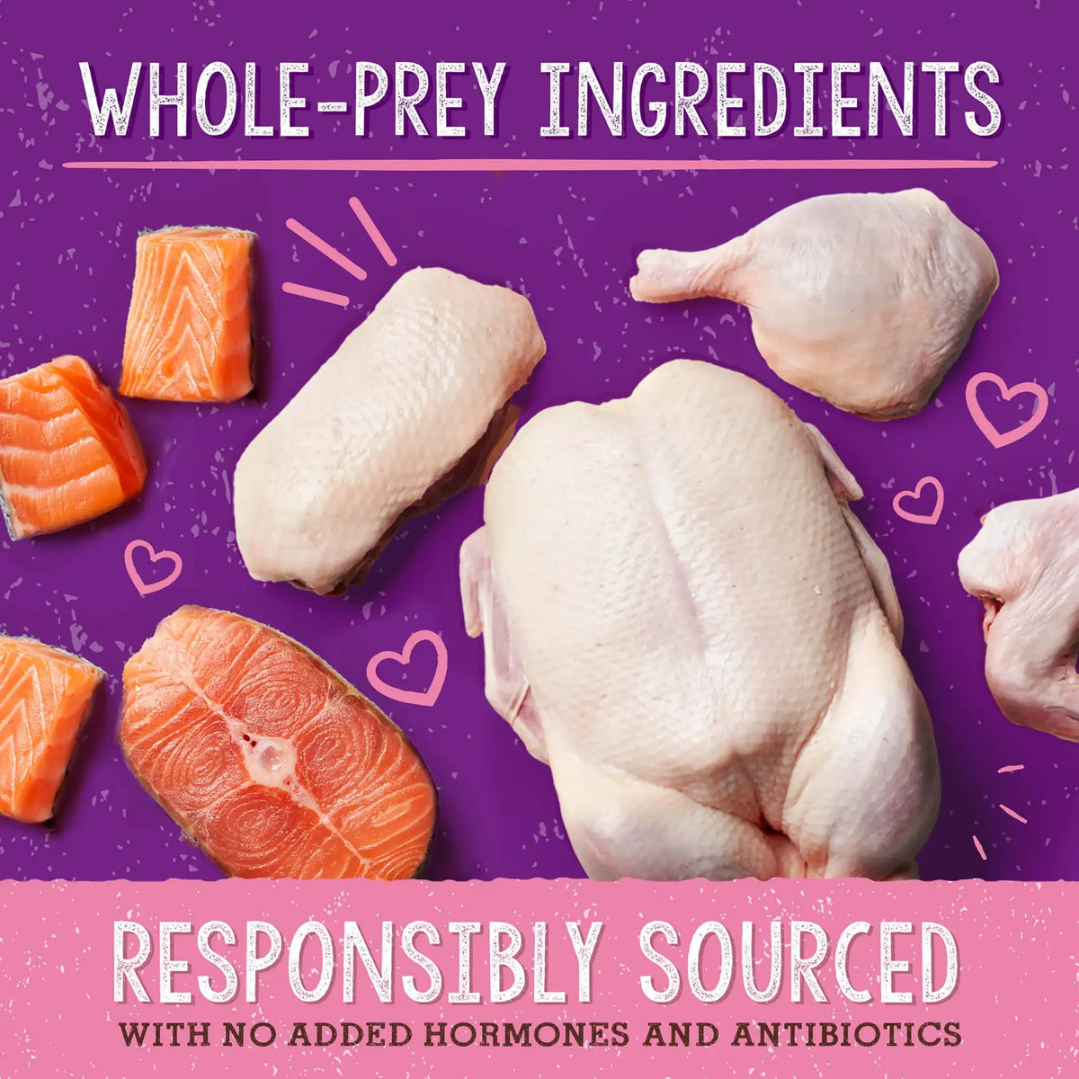 Stella &amp; Chewy&#39;s Freeze-Dried Raw Stella&#39;s Solutions Skin &amp; Coat Boost Salmon Meal Mixer for Cats