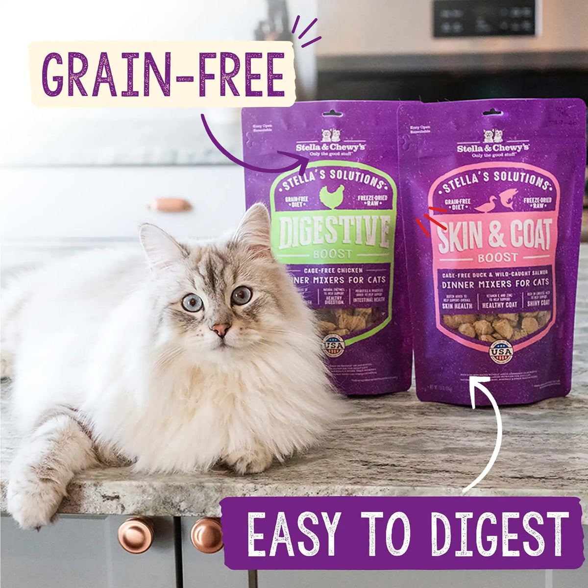 Stella &amp; Chewy&#39;s Freeze-Dried Raw Stella&#39;s Solutions Skin &amp; Coat Boost Salmon Meal Mixer for Cats