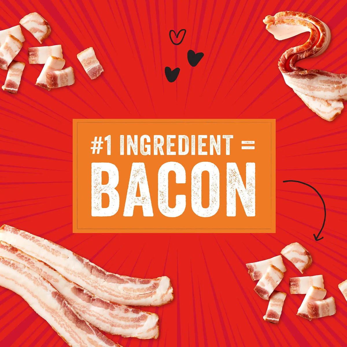 Stella &amp; Chewy&#39;s Crav&#39;n Bac&#39;n Bites Bacon &amp; Beef Dog Treats
