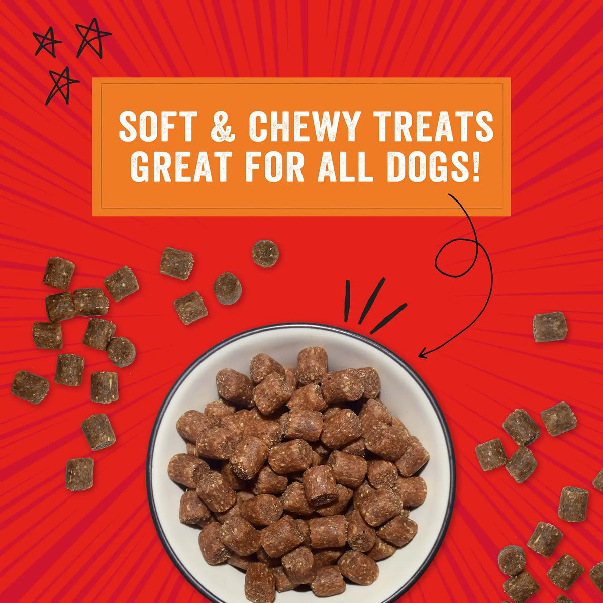Stella &amp; Chewy&#39;s Crav&#39;n Bac&#39;n Bites Bacon &amp; Beef Dog Treats