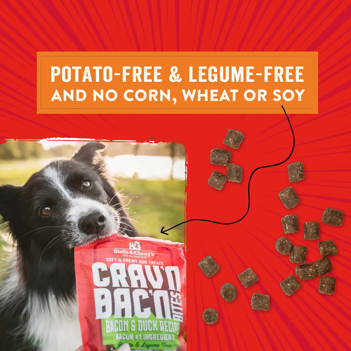 Stella &amp; Chewy&#39;s Crav&#39;n Bac&#39;n Bites Bacon &amp; Beef Dog Treats