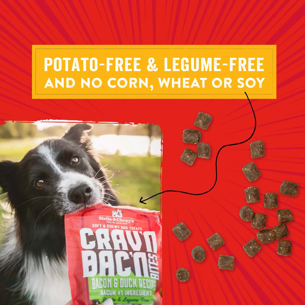 Stella &amp; Chewy&#39;s Crav&#39;n Bac&#39;n Bites Bacon &amp; Chicken Dog Treats