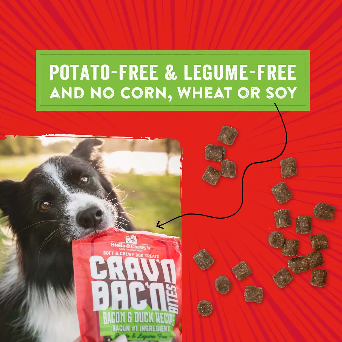 Stella &amp; Chewy&#39;s Crav&#39;n Bac&#39;n Bites Bacon &amp; Duck Dog Treats