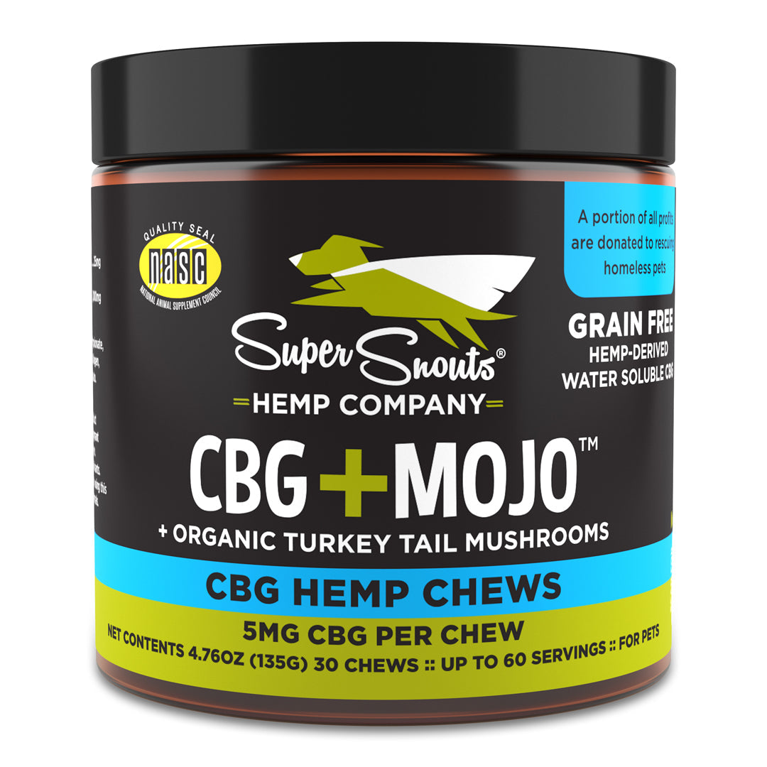 Super Snout Hemp CBG+Mojo with Turkey Tail Mushrooms CBG Hemp Chews for Dogs &amp; Cat