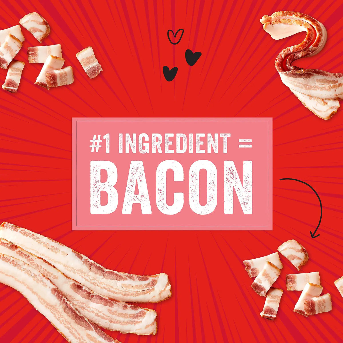 Stella &amp; Chewy&#39;s Crav&#39;n Bac&#39;n Bites Bacon &amp; Pork Dog Treats
