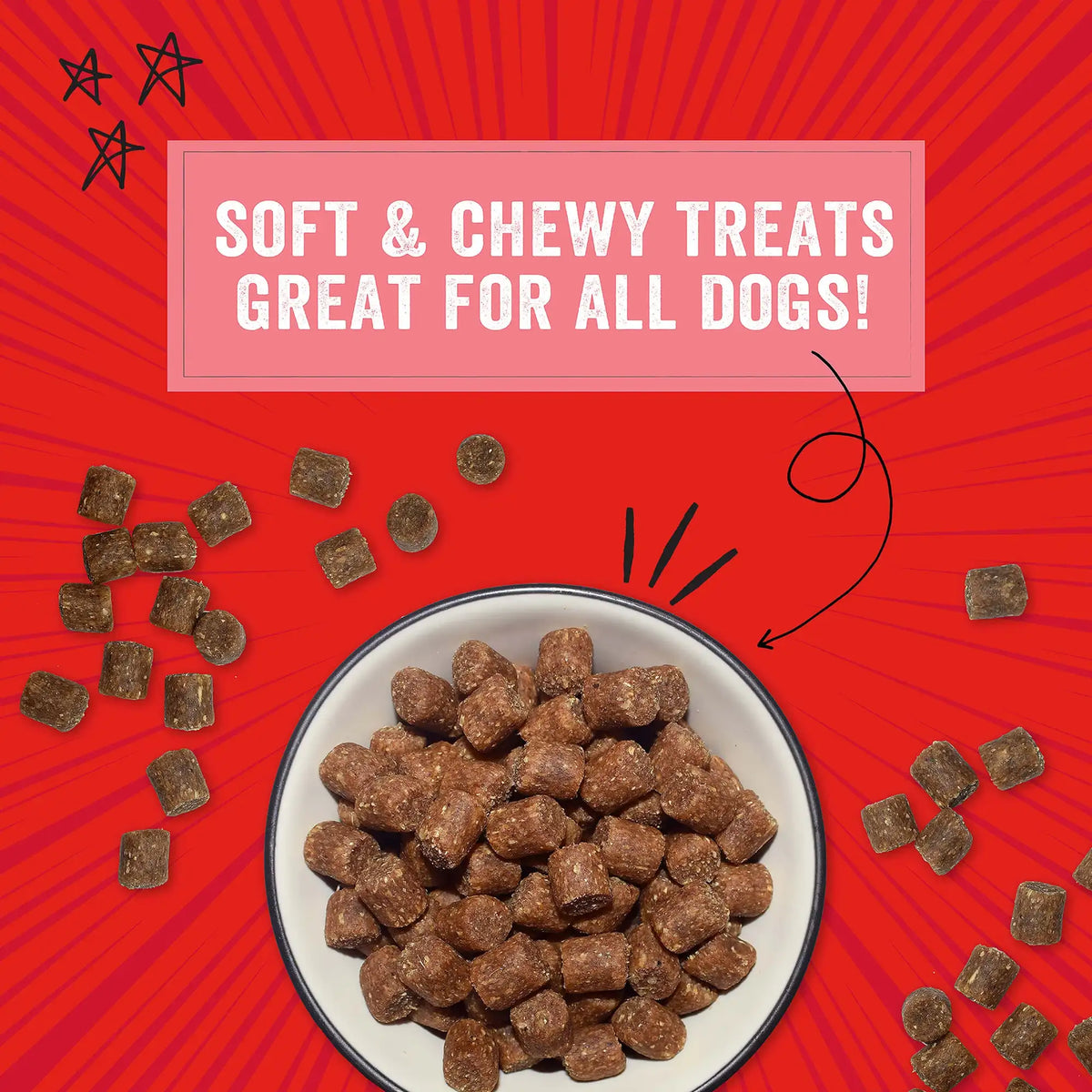 Stella &amp; Chewy&#39;s Crav&#39;n Bac&#39;n Bites Bacon &amp; Pork Dog Treats