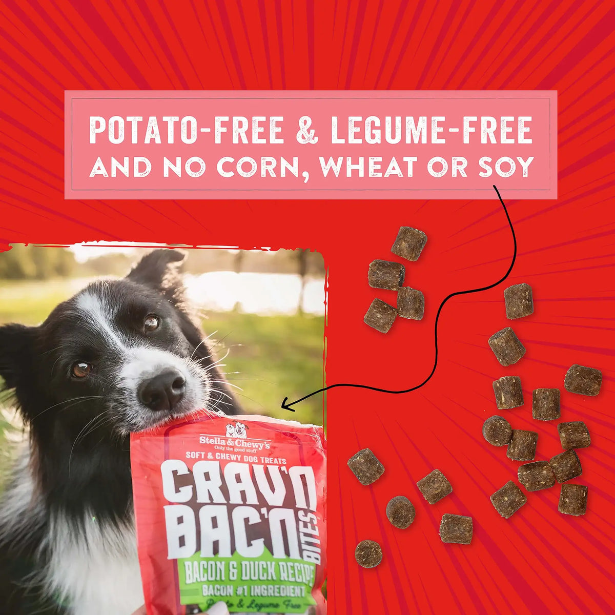 Stella &amp; Chewy&#39;s Crav&#39;n Bac&#39;n Bites Bacon &amp; Pork Dog Treats
