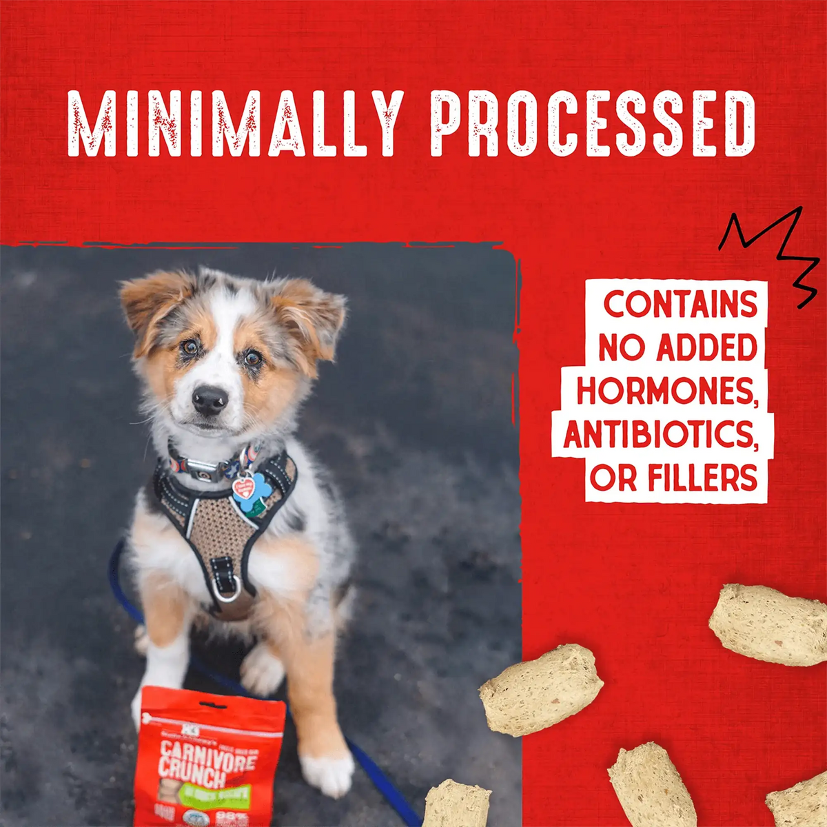 Stella &amp; Chewy&#39;s Freeze-Dried Raw Carnivore Crunch Beef Dog Treats
