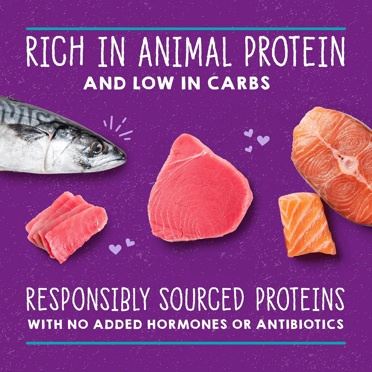 Stella &amp; Chewy&#39;s Carnivore Cravings Purrfect Pate Salmon, Tuna &amp; Mackerel Canned Cat Food