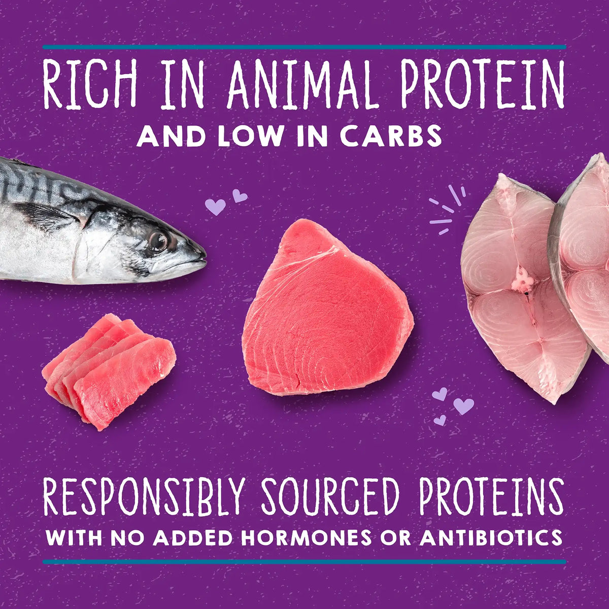 Stella &amp; Chewy&#39;s Carnivore Cravings Savory Shreds Tuna &amp; Mackerel Canned Cat Food
