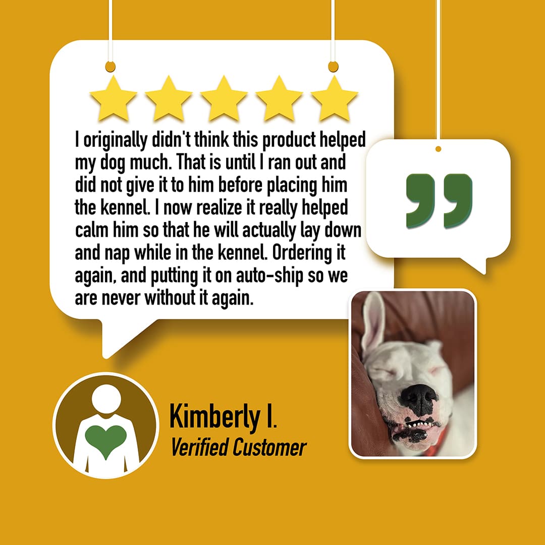 CBD Dog Health CALM CBD Oil for Dogs