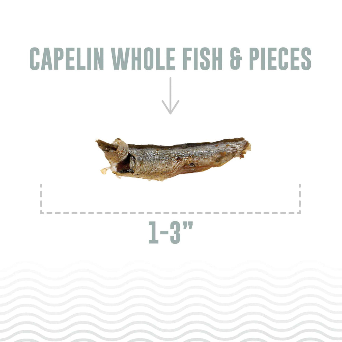 Icelandic+ Capelin Whole Fish Cat Treats