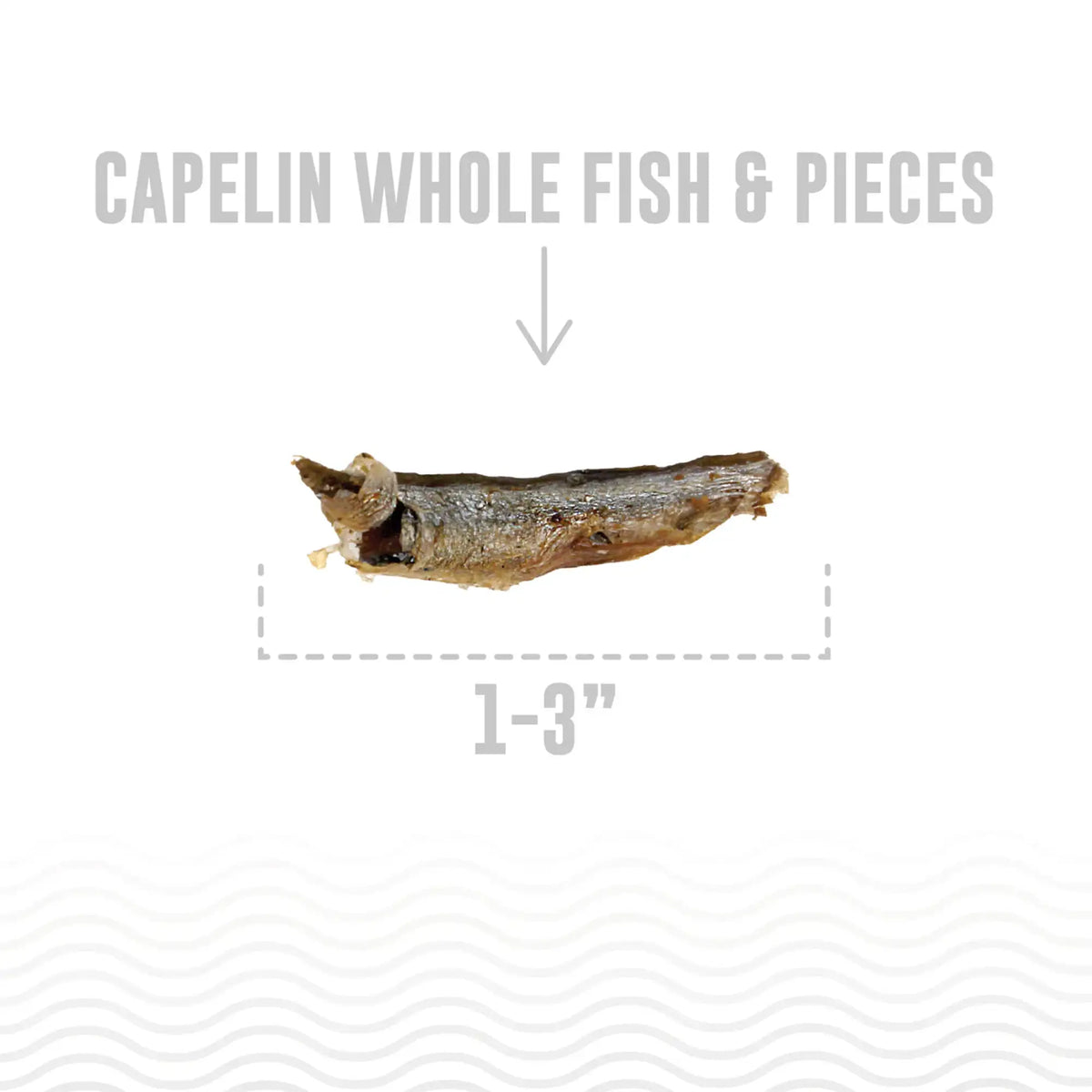 Icelandic+ Capelin Whole Fish Dog Treats