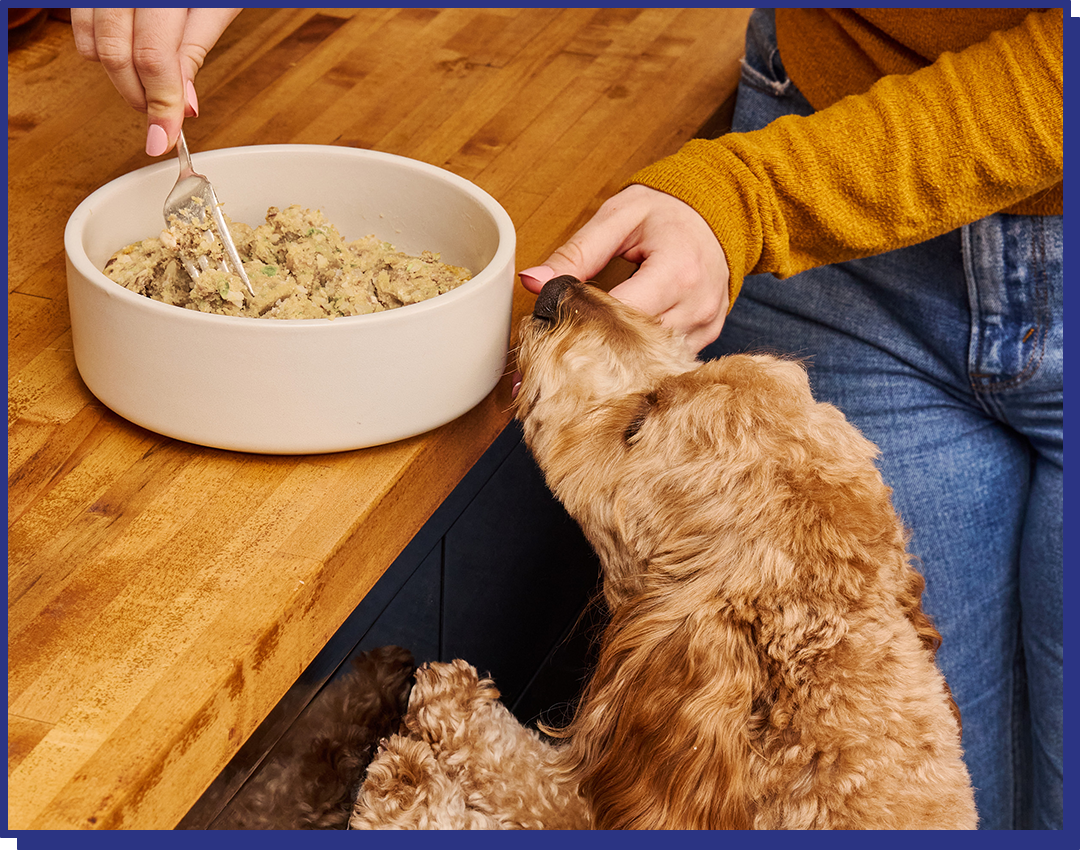 My Perfect Pet Gently Cooked Grain Free Charlie&#39;s Glycemic Friendly Chicken Blend Frozen Dog Food