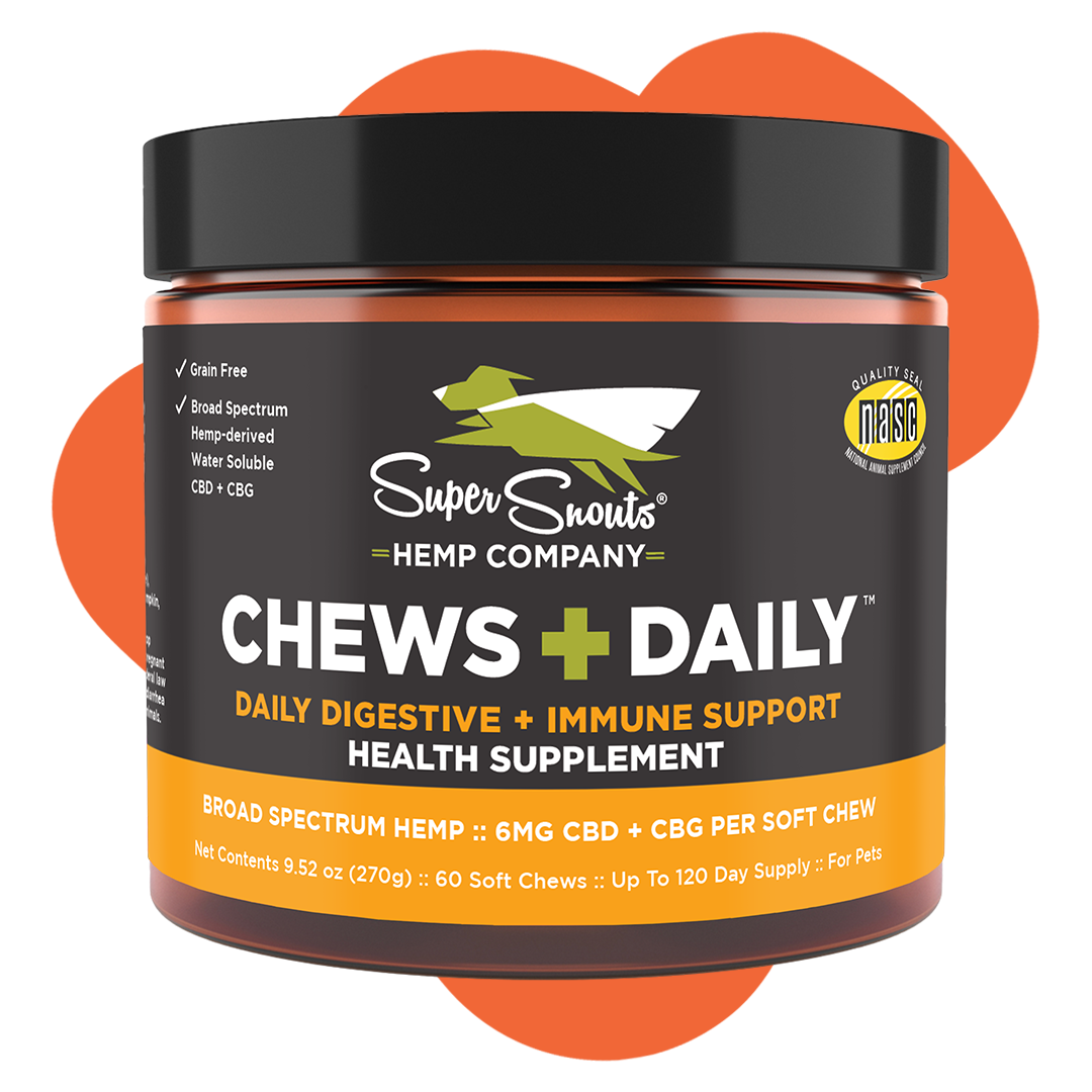 Super Snout Hemp Chews+Daily Digestive + Immune Support Hemp Chews for Dogs &amp; Cats