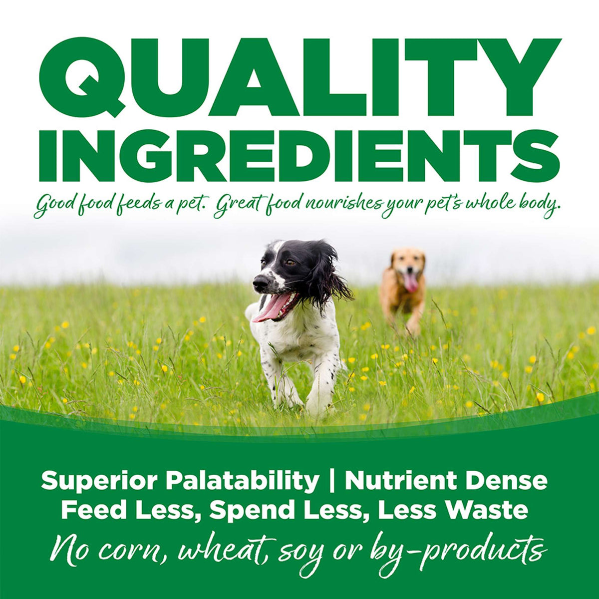 NutriSource Choice Chicken &amp; Barley Canned Dog Food
