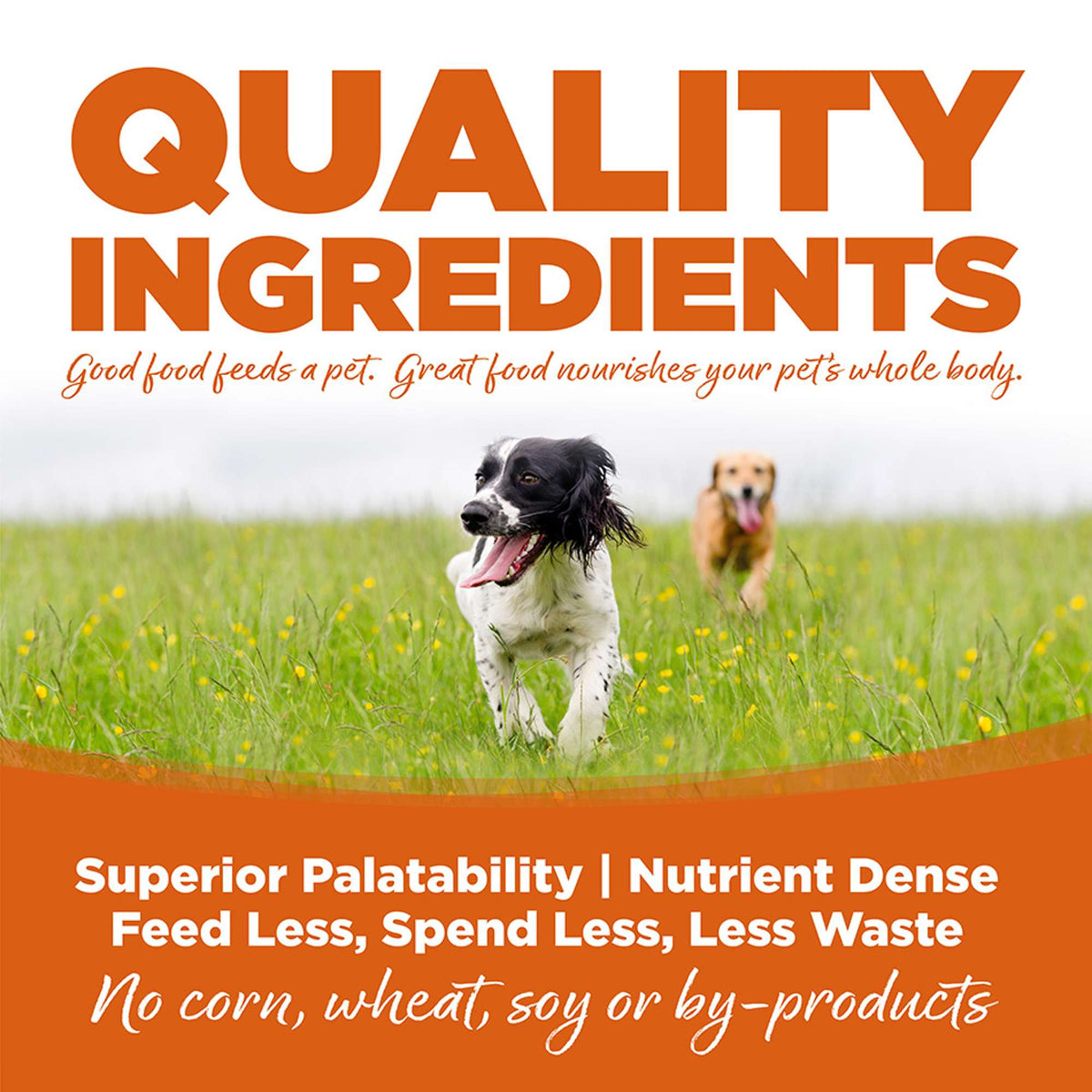 NutriSource Choice Turkey &amp; Barley Canned Dog Food
