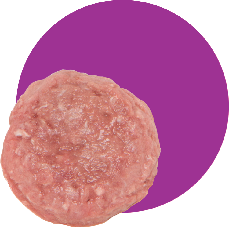Small Batch Base Blend Turkey Frozen Raw Dog &amp; Cat Food
