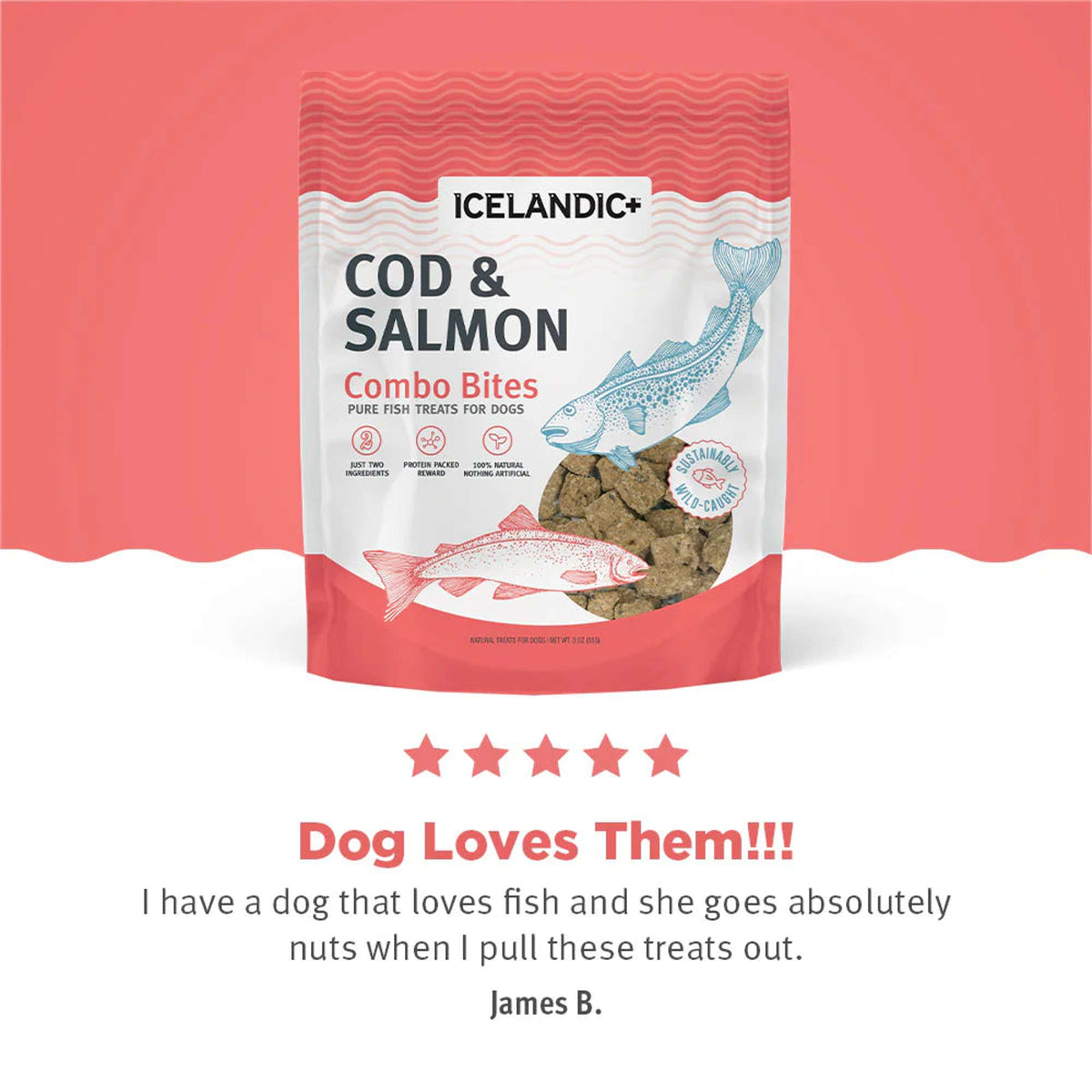 Icelandic+ Combo Bites Cod &amp; Salmon Dog Treats