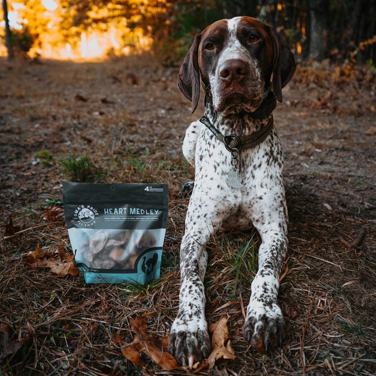 Oma&#39;s Pride Freeze-Dried Raw Heart Medley Dog &amp; Cat Treats