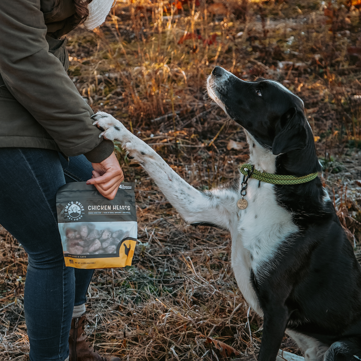 Oma&#39;s Pride Freeze-Dried Raw Chicken Hearts Dog &amp; Cat Treats