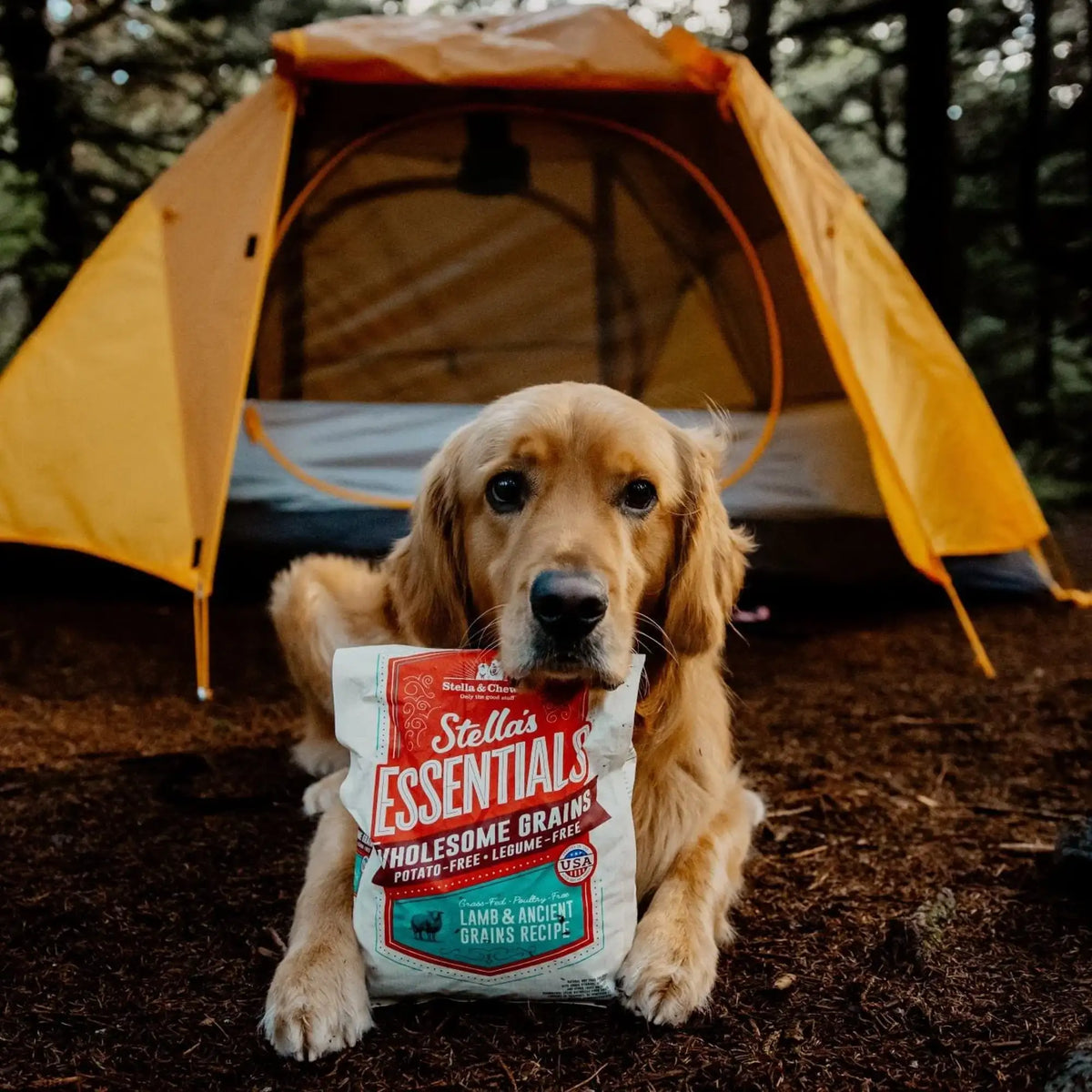 Stella &amp; Chewy&#39;s Stella&#39;s Essentials Lamb Dog Food