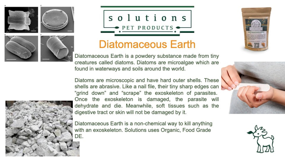 Solutions Pet Products Diatomaceous Earth Supplement for Dogs &amp; Cats