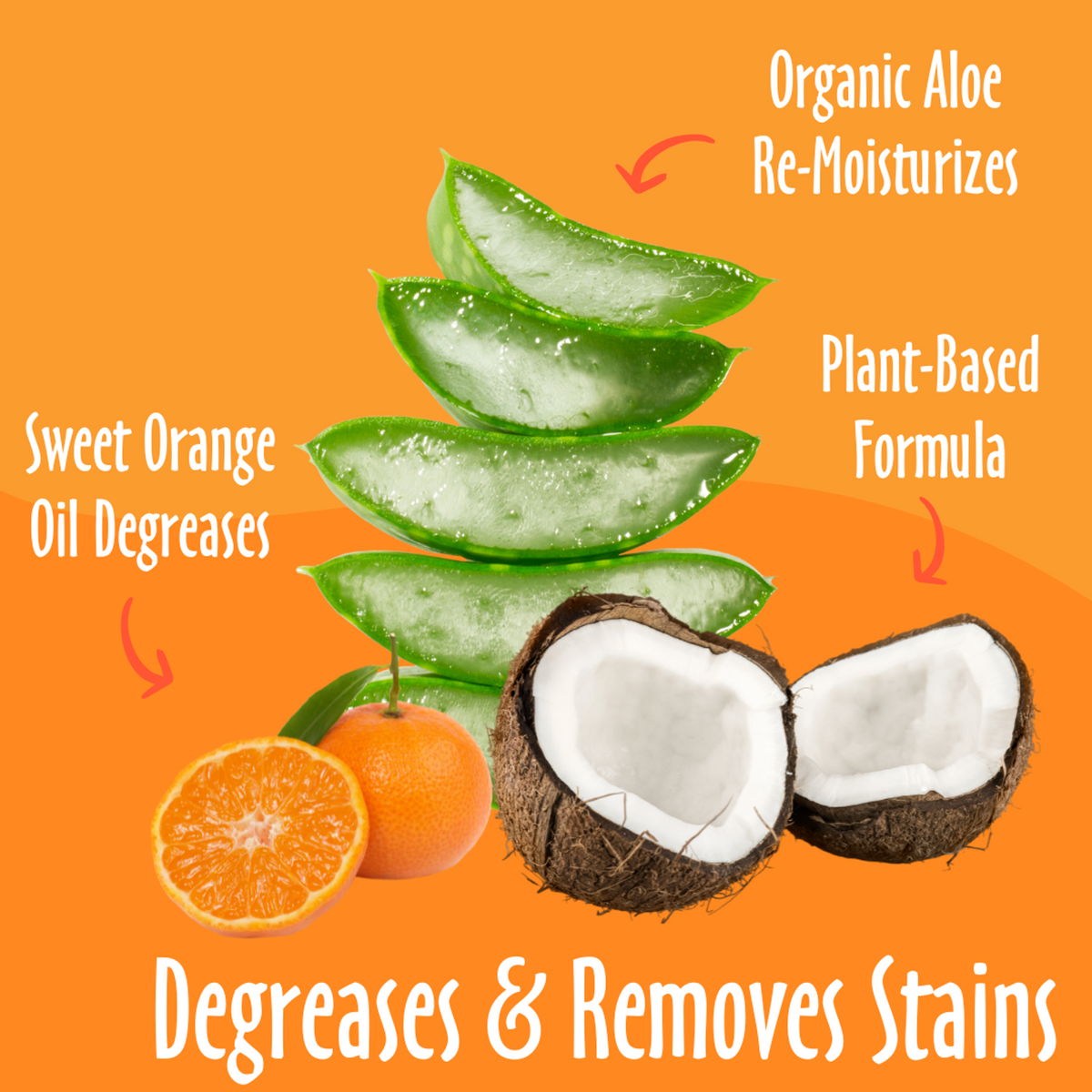 Earthbath Dirty Dog Shampoo Sweet Orange Oil