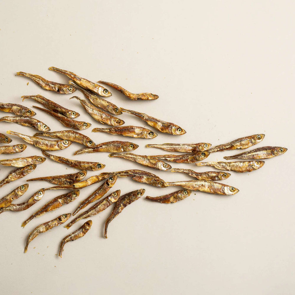 Polkadog Bakery Atlantic Silverside Crunchy Whole Fish Dog Treats