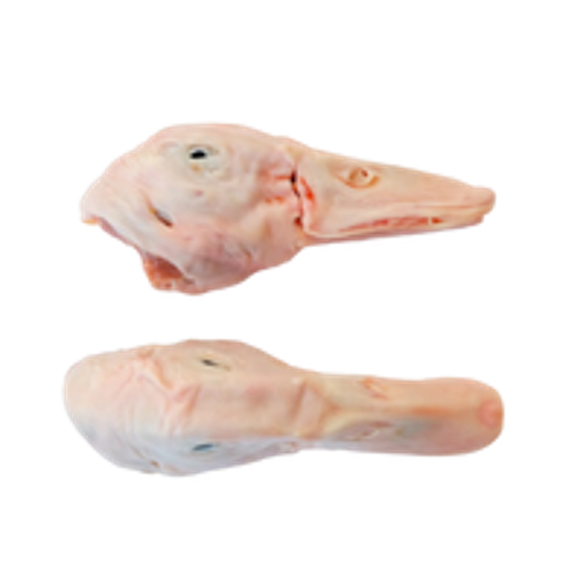 Rawr Frozen Raw Duck Heads for Dogs & Cats