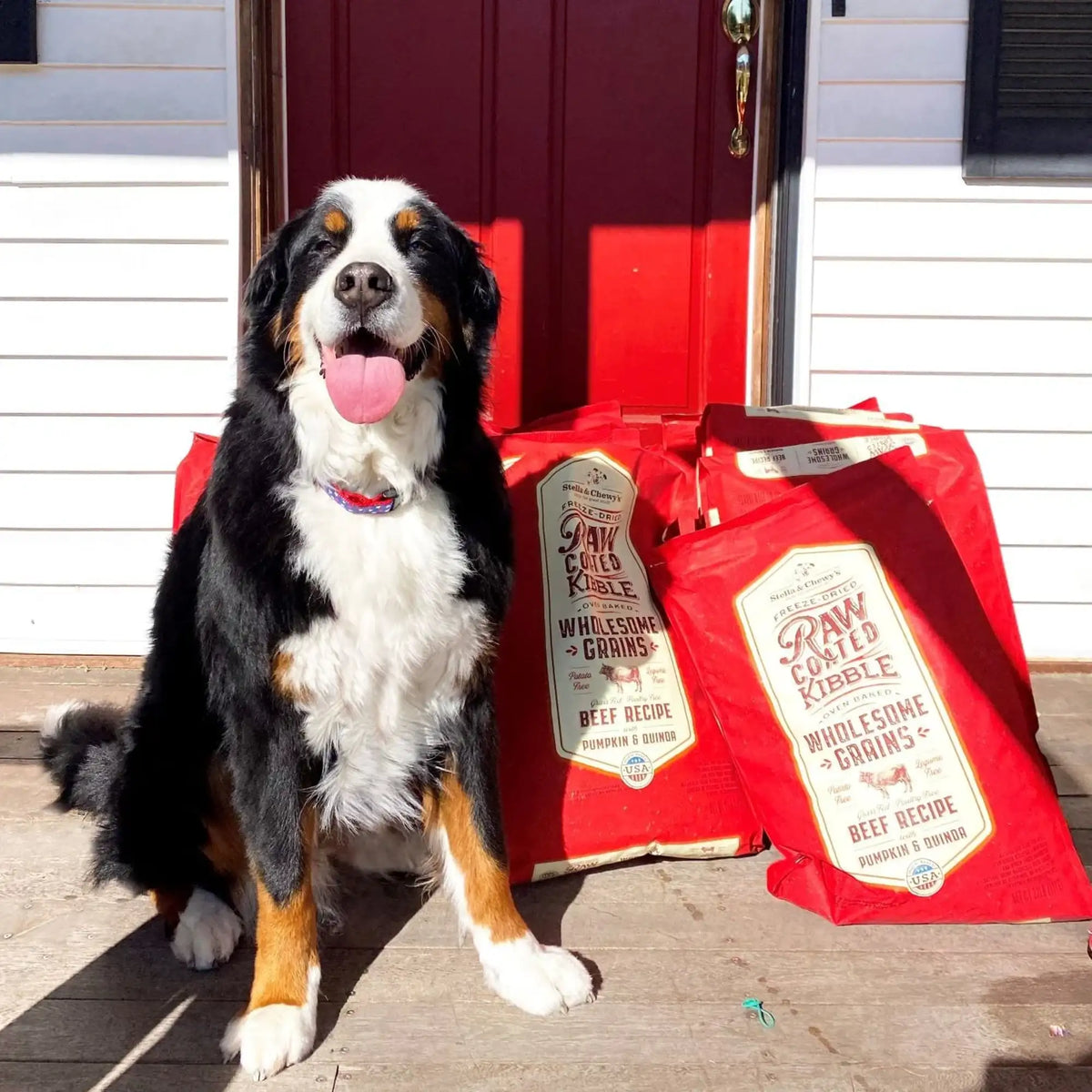 Stella &amp; Chewy&#39;s Kibble Raw Coated Wholesome Grain Beef Dog Food