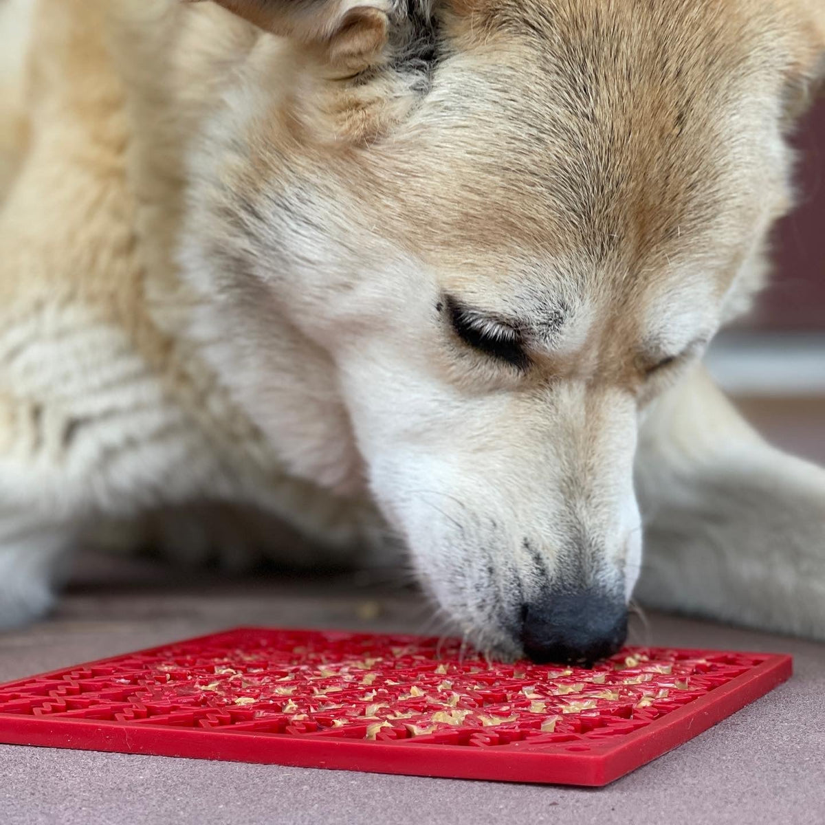 SodaPup Tree Design "Peace" eMat Enrichment Lick Mat