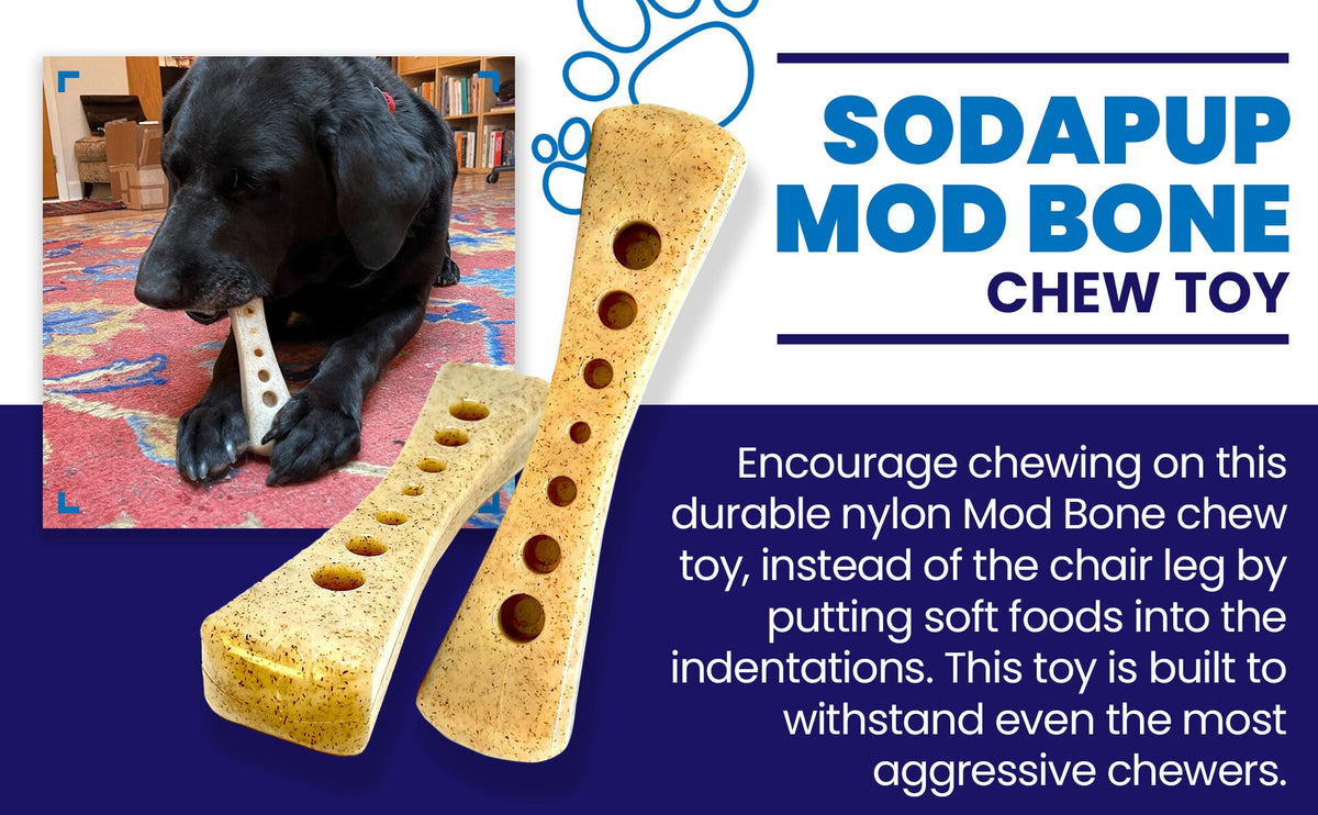 SodaPup MOD Bone Ultra Durable Nylon Dog Chew Toy