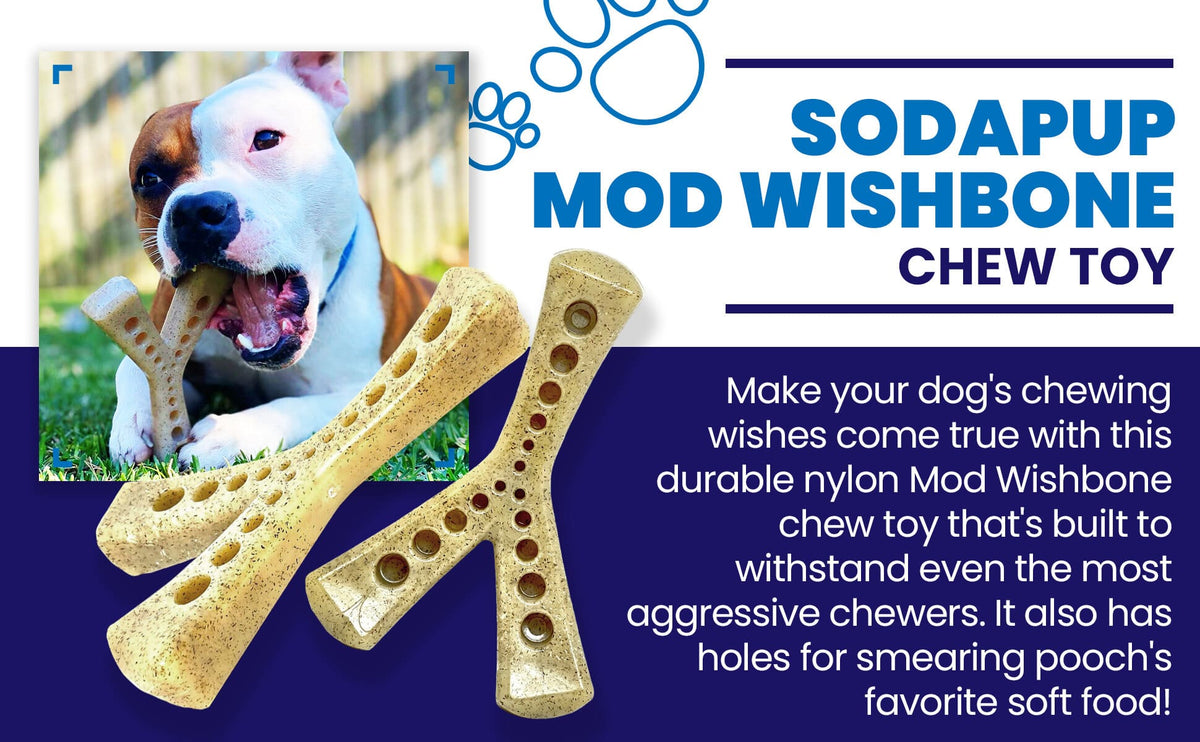 SodaPup MOD Wishbone Ultra Durable Nylon Dog Chew Toy