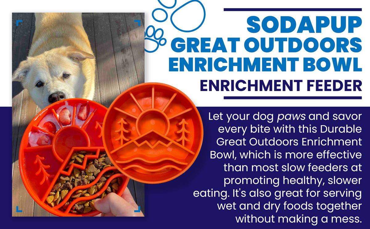 SodaPup Great Outdoors Design eBowl Enrichment Slow Feeder Bowl for Dogs