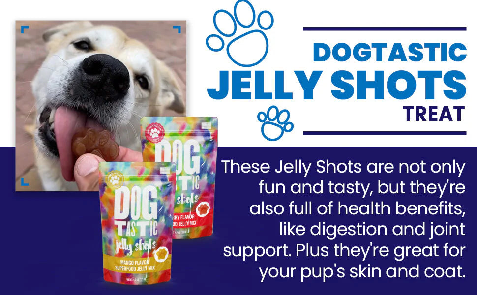 SodaPup Dogtastic Jelly Shots Gelatin Mix For Dogs - Mango Flavor
