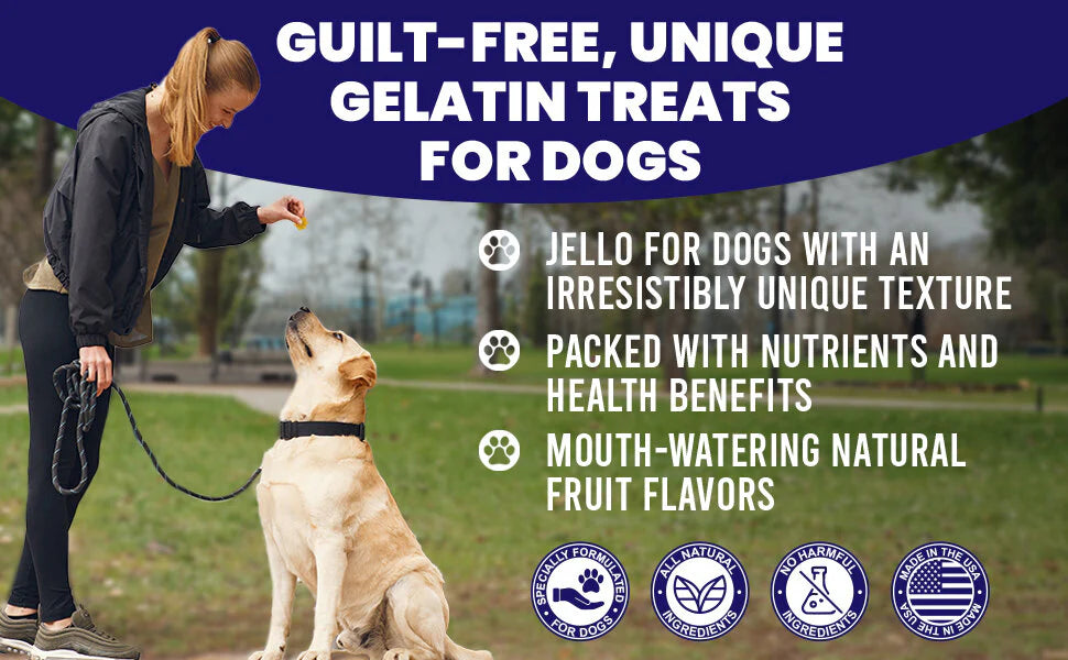 SodaPup Dogtastic Jelly Shots Gelatin Mix For Dogs - Mango Flavor