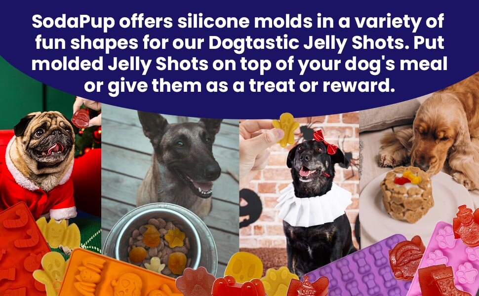 SodaPup Dogtastic Jelly Shots Gelatin Mix For Dogs - Mango Flavor