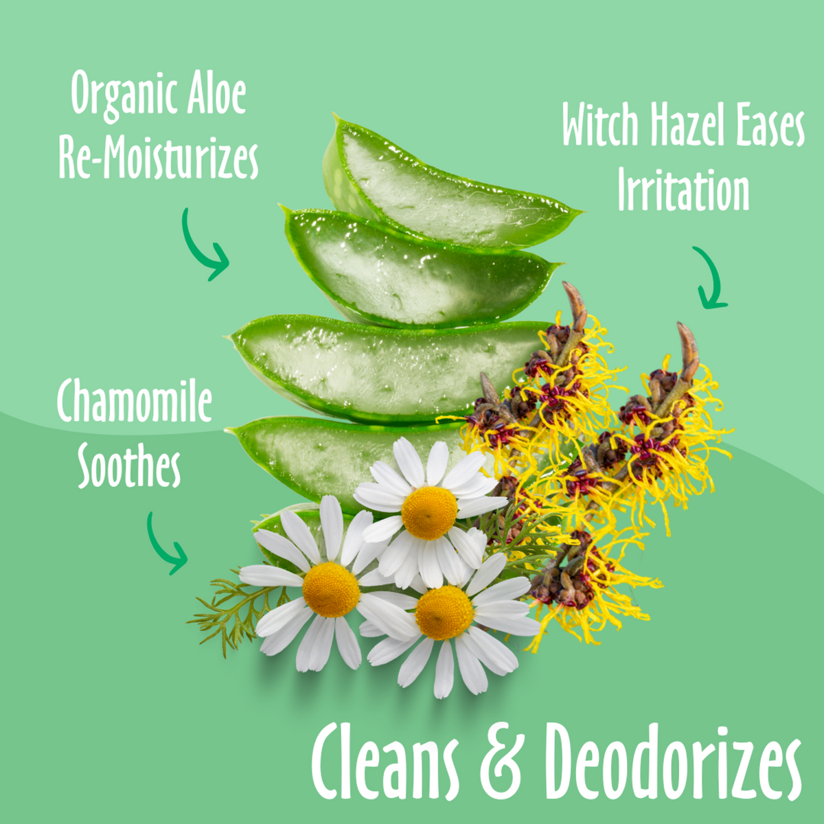 Earthbath Pet Hypoallergenic Ear Wipes Witch Hazel & Chamomile