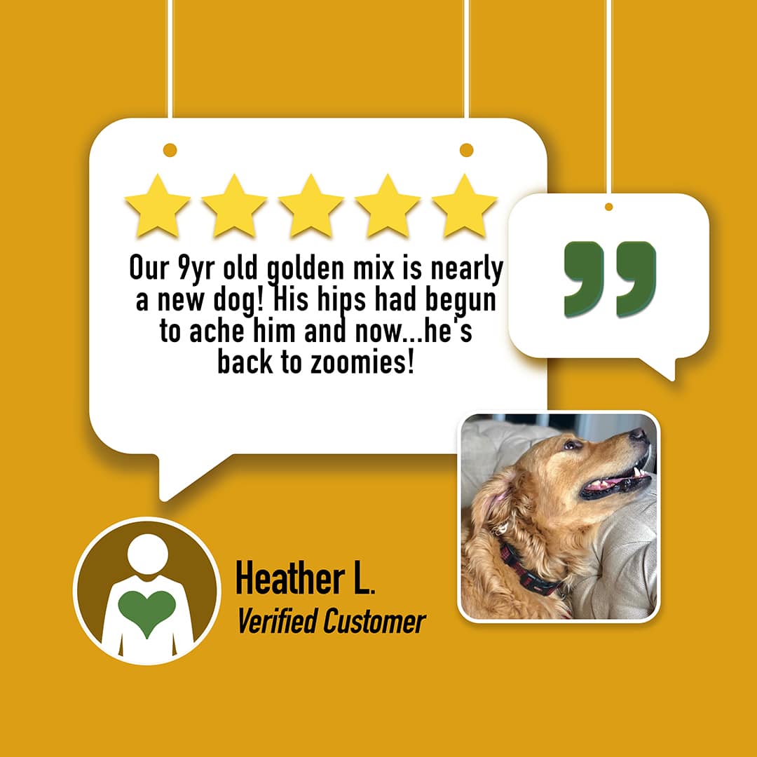 CBD Dog Health EASE CBD Oil for Dogs