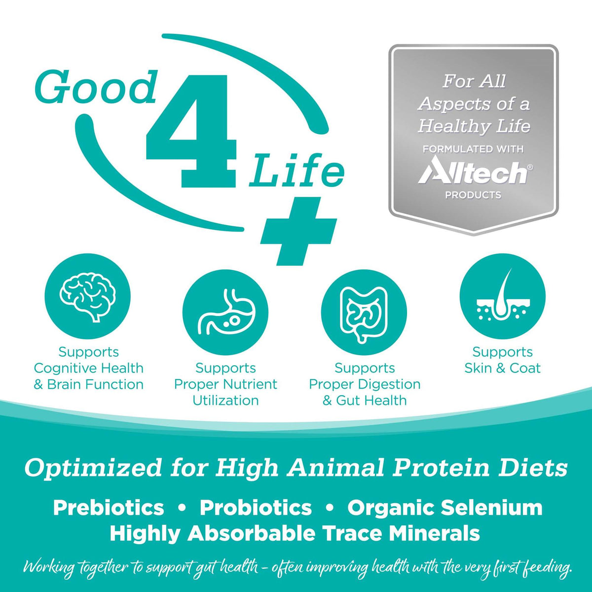 NutriSource Element Series Classic Catch Grain Free Cat Food