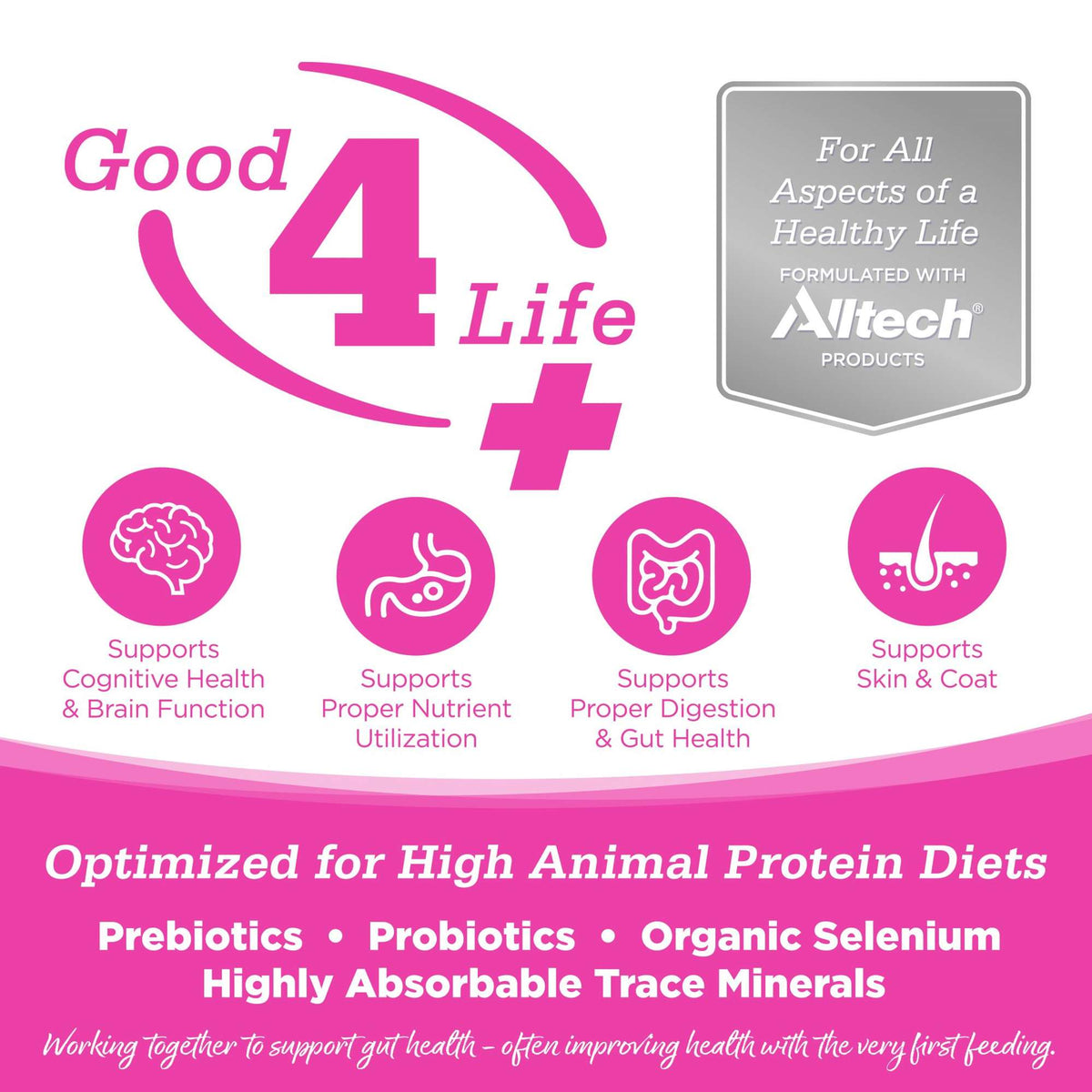NutriSource Element Series Scenic Meadow Turkey, Duck &amp; Rabbit Blend Grain Free Cat Food