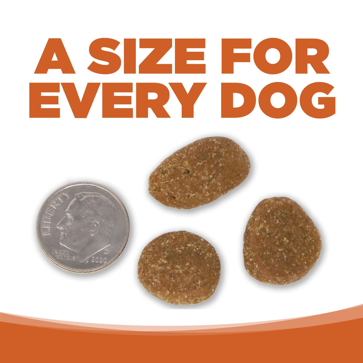 NutriSource Element Series Outback Trails Lamb, Kangaroo &amp; Wild Boar Blend Dog Food