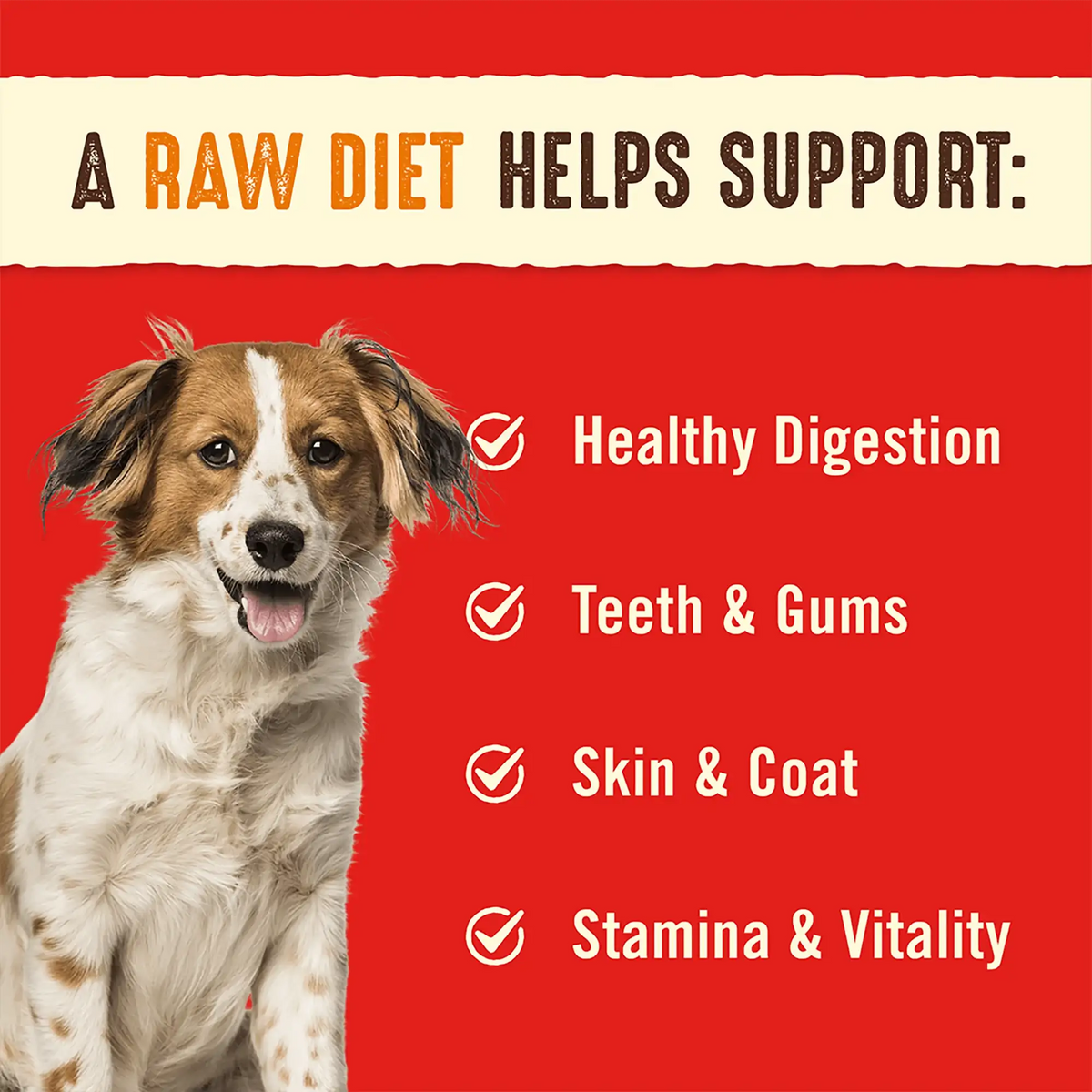 Stella &amp; Chewy&#39;s Freeze-Dried Raw Stella&#39;s Super Beef Dinner Patties Dog Food