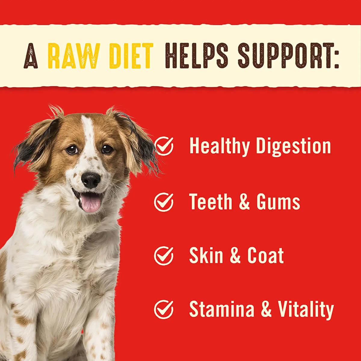 Stella &amp; Chewy&#39;s Freeze-Dried Raw Chewy&#39;s Chicken Dinner Patties Dog Food