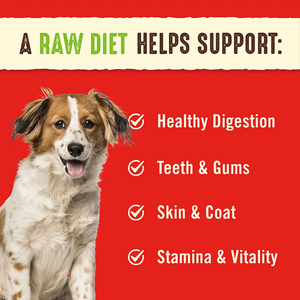 Stella &amp; Chewy&#39;s Freeze-Dried Raw Duck Duck Goose Dinner Patties Dog Food