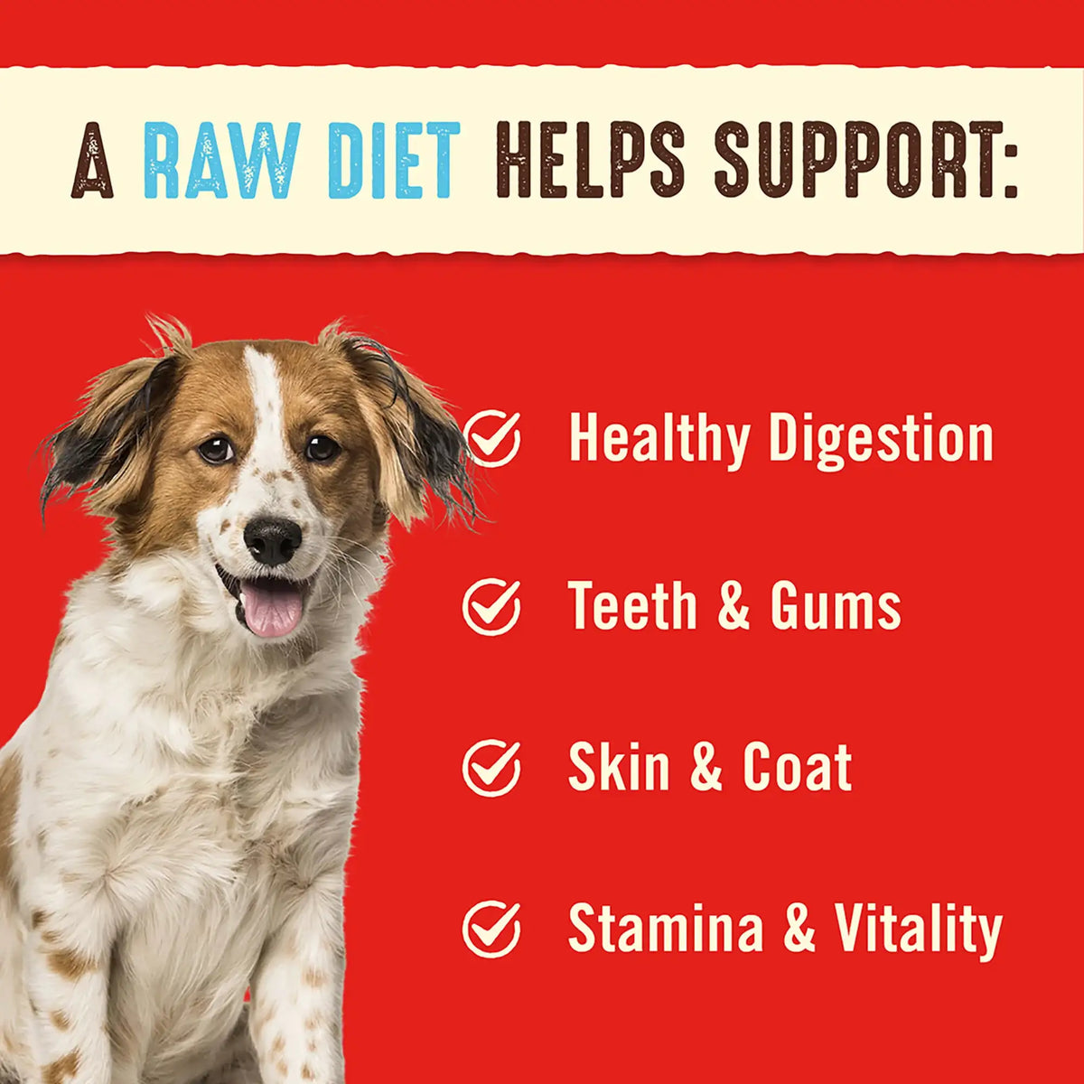 Stella &amp; Chewy&#39;s Freeze-Dried Raw Dandy Lamb Dinner Patties Dog Food