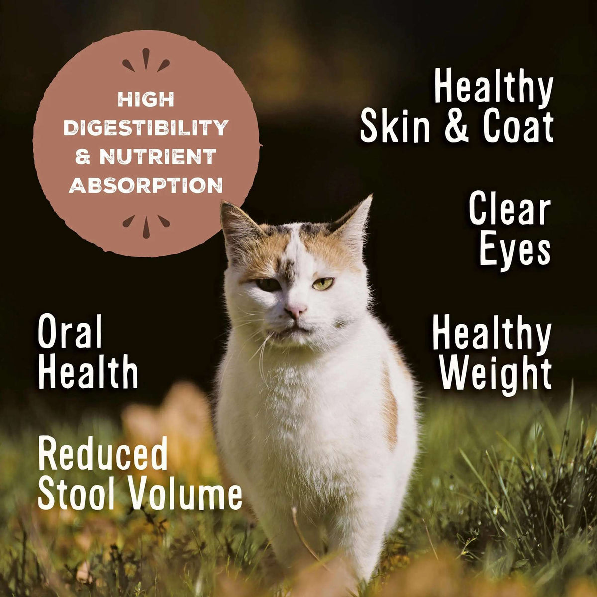 Primal Frozen Pronto Chicken &amp; Salmon Raw Cat Food