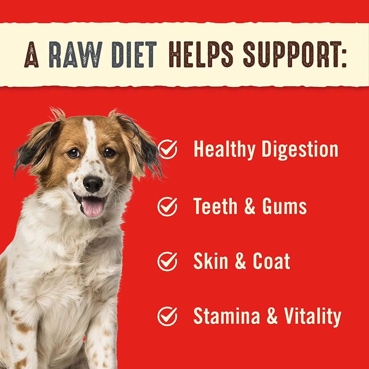 Stella &amp; Chewy&#39;s Freeze-Dried Raw Purely Pork Dinner Patties Dog Food