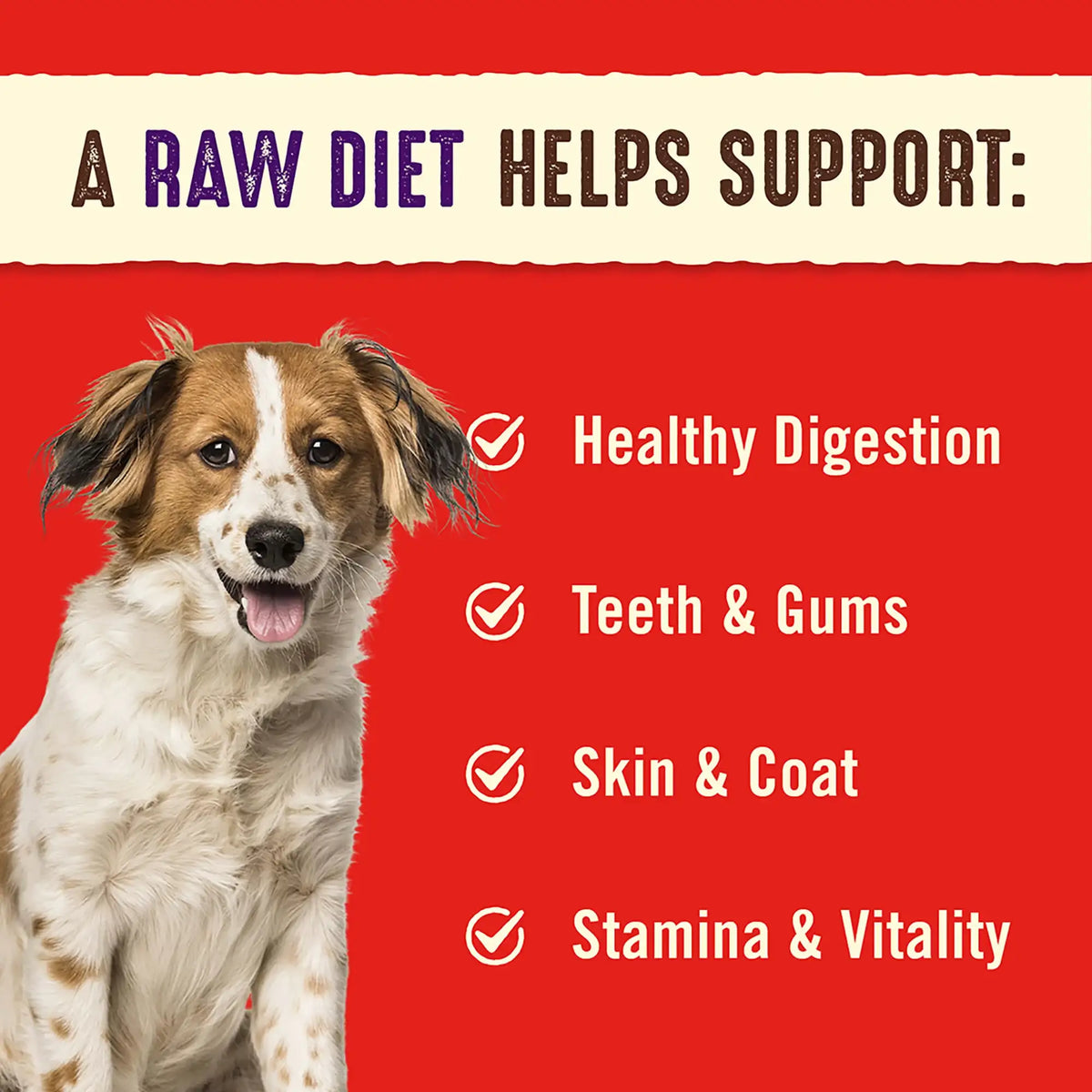 Stella &amp; Chewy&#39;s Freeze-Dried Raw Absolutely Rabbit Dinner Patties Dog Food